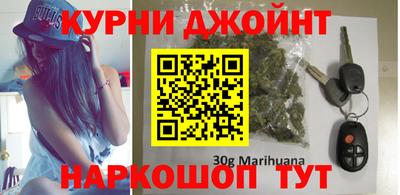 дмт Гатчина