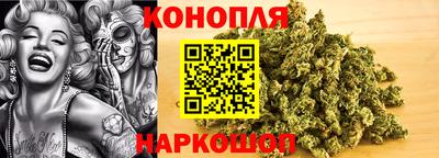 кокс Гай