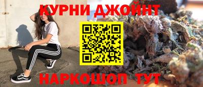 дмт Гатчина
