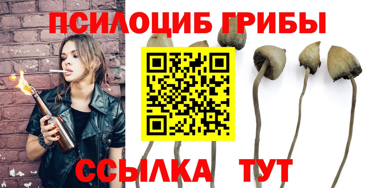 Псилоцибиновые грибы мицелий  Галлюциногенные грибы Psilocybe  Вход с VPN  Заречный 