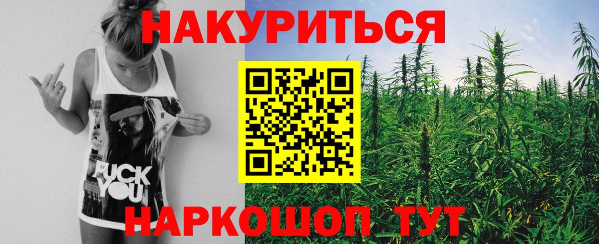 Каннабис сатива Заречный